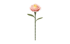 ROKR | Light Pink Camellia | Robotime Bausatz