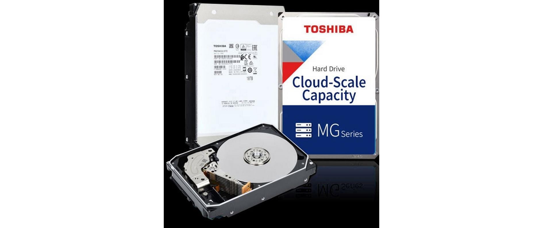 Toshiba Enterprise Capacity MG10F 22TB