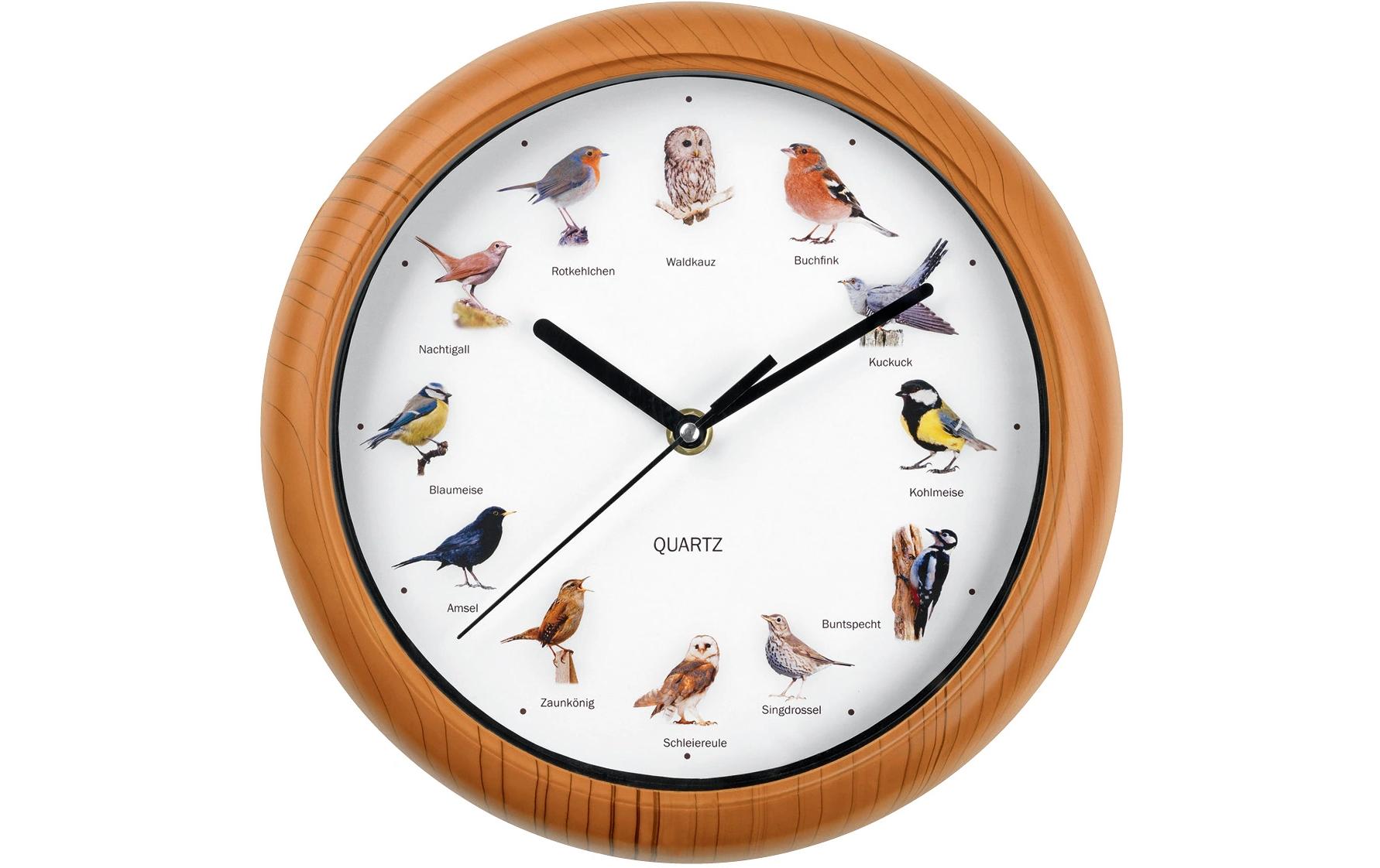 EASYmaxx Wanduhr mit Vogelstimmen