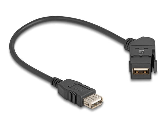 Delock | Keystone Modul USB 2.0 Bu zu Bu | USB 2.0, Bu 45° gewinkelt , 30 cm Kabel