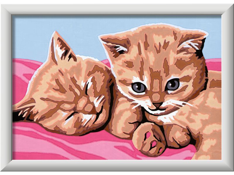Ravensburger | Feline Friends