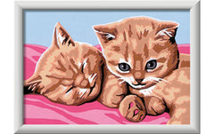 Ravensburger | Feline Friends