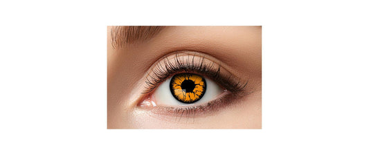Partyartikel | Halloween 3-Monatslinsen farbig | oranges Monster