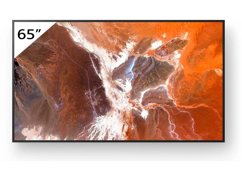 Sony | FW-65BZ30PB Public Display | 65 Display