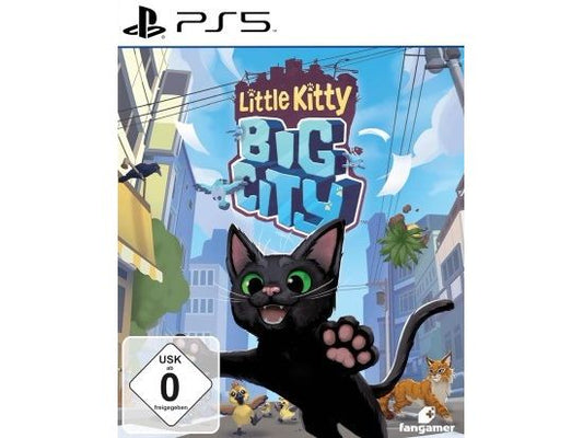Flashpoint | Little Kitty, Big City, PS5 | Alter: 3+