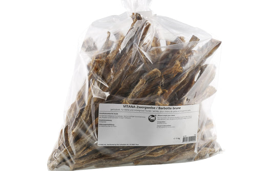 Vitana | Zwergwelse | 1 kg
