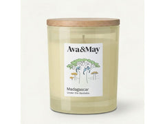 AVA & MAY | Duftkerze Madagascar, 220 gr | Brenndauer 56h, 100% pflanzlicher Wachs