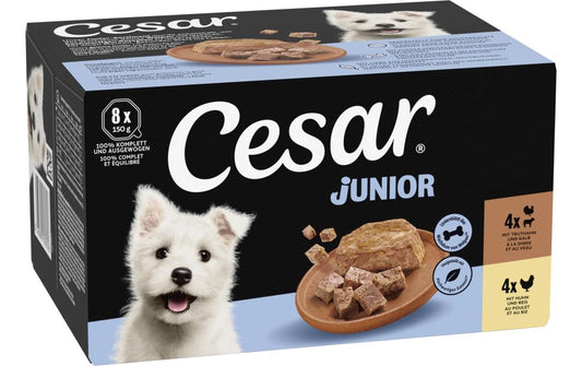Cesar | Junior Gart.Terr Huhn&Truthahn 8x150g