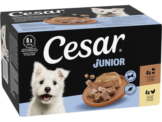 Cesar | Junior Gart.Terr Huhn&Truthahn 8x150g