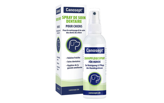 Canosept | Zahnpflegespray | 100 ml