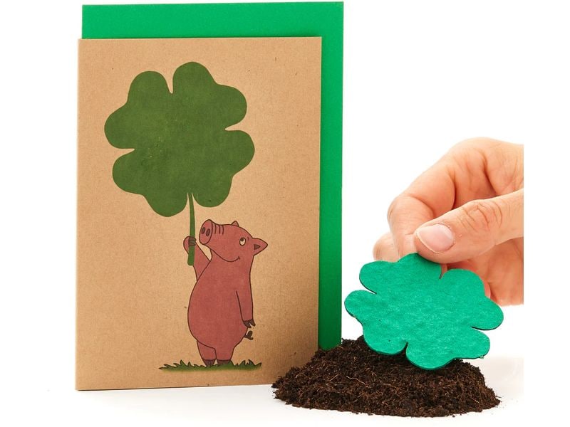 Die Stadtgärtner | Schwein mit Kleeblatt | Saatpapier, Natronkraftkarton, A6