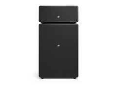 Audio Pro | Drumfire II | Schwarz WLAN Bluetooth