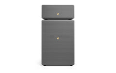 Audio Pro | Drumfire II W | Grau
