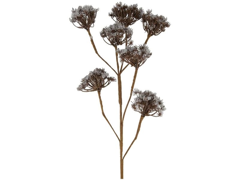 CHALET | Kunstzweig Heracleum | 115x40x10cm braun