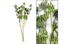 CHALET | Eryngium Bund | 60x10x10cm natur