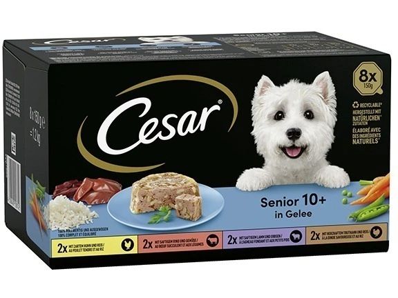 Cesar | Multipack Senior 12x100g