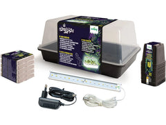 Romberg | Basic Starter Box 38x24x19 cm | 1xLED, 5x1L Substrat, 15 Töpfe