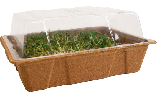 Romberg | Eco Mini Anzuchthaus 20x15x8cm, 1x Haube | 3x Tray, 3x Erde, 3x Holzeti.