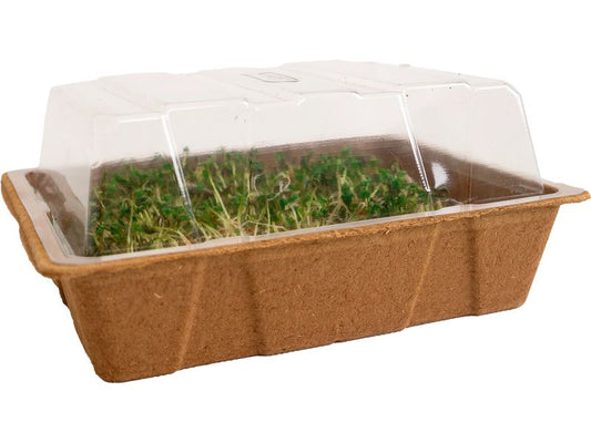 Romberg | Eco Mini Anzuchthaus 20x15x8cm, 1x Haube | 3x Tray, 3x Erde, 3x Holzeti.