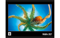 Calendaria | Kalender 2027 WWF | 48 x 34 cm