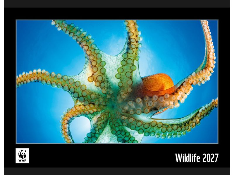 Calendaria | Kalender 2027 WWF | 48 x 34 cm