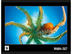 Calendaria | Kalender 2027 WWF | 48 x 34 cm