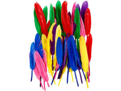 Creativ Company | Hühnerfedern | sortierte Farben, 13 cm, 48 Stk