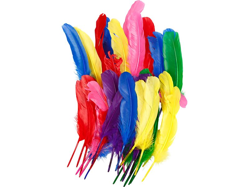 Creativ Company | Federn | Hühner, L 20 cm, Sortierte Farben, 36 Stück
