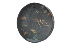 Remo | Ocean Drum | 16 Fish Graphic