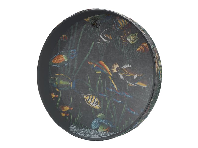 Remo | Ocean Drum | 16 Fish Graphic