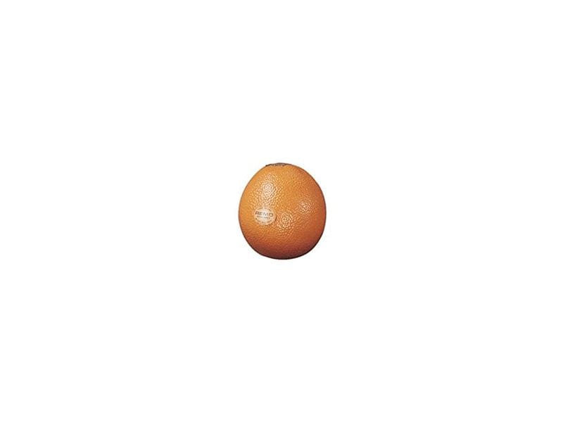 Remo | Fruit Shaker | Orange