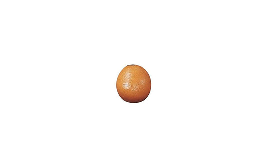 Remo | Fruit Shaker | Orange