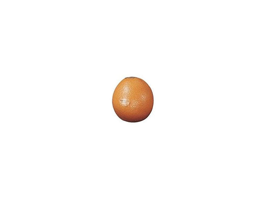 Remo | Fruit Shaker | Orange