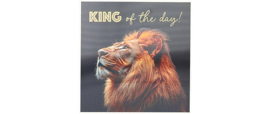 Depesche | 3D Musikkarten | Geburtstag, Löwe - King of the Day
