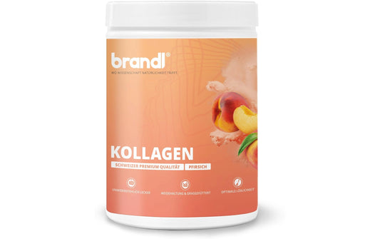 Brandl-Nutrition | Pulver Kollagen | Pfirsich 555 g