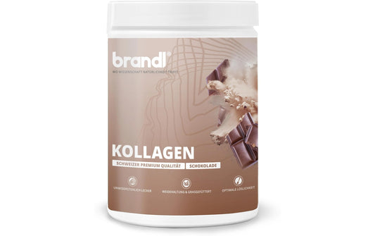 Brandl-Nutrition | Pulver Kollagen | Schokolade 555 g