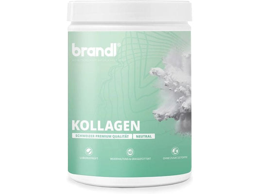 Brandl-Nutrition | Pulver Kollagen | Neutral 555 g