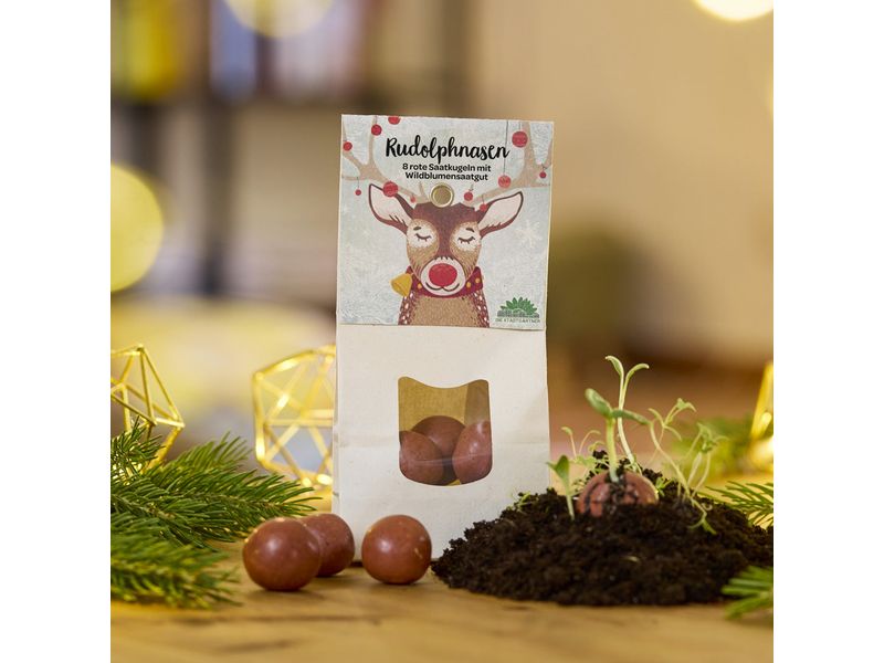Die Stadtgärtner | Stadtgärtner Blumenmurmeln Weihnachten | Rudolphnasen