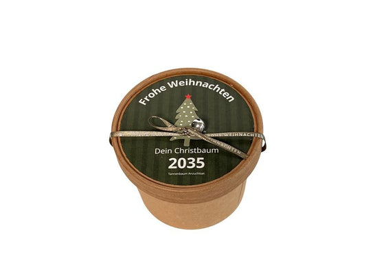 Wunderle | Christbaum Pott 2035