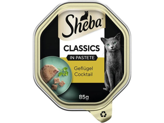 Sheba | Classics Schale Geflügel Pastete | 22 x 85g