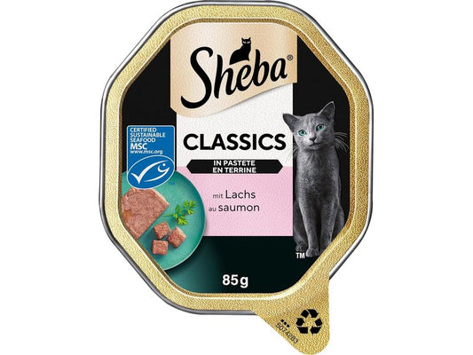 Sheba | Classics Schale Lachs Pastete MSC | 22 x 85g