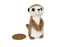 AURORA | Shoulderkins Meerkat