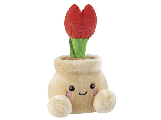 AURORA | PP Lilybelle Potted Tulip
