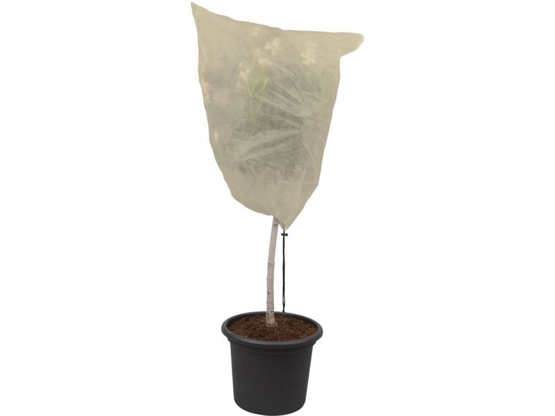 Colibri | Winterhaube Winter Hood XL | D75 x H180 cm, 70g/m2, 2 Stk.
