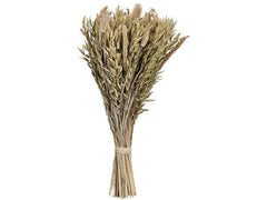EGLO | Trockenblume CARAQUET | Farbe: Natur