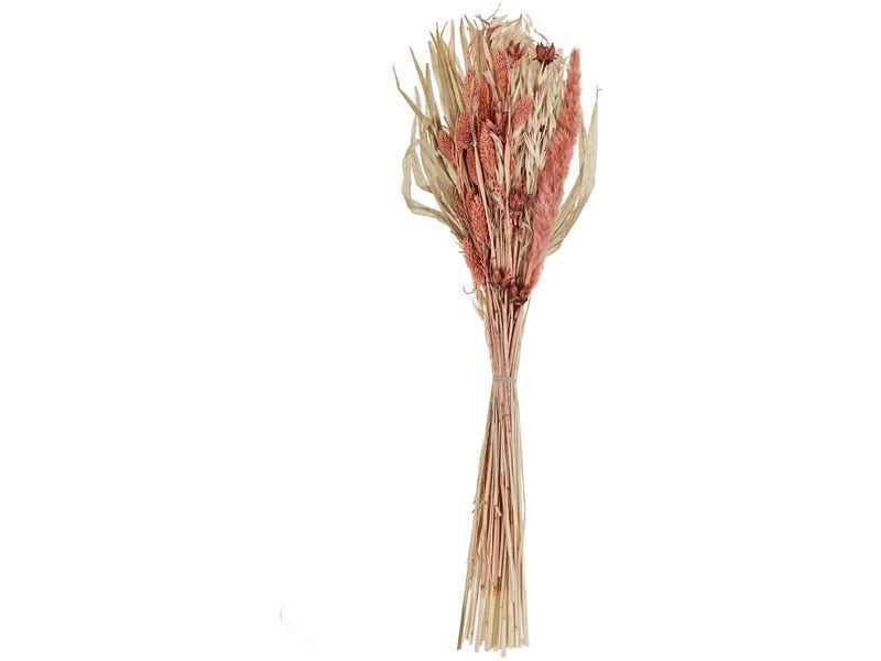 EGLO | Trockenblume CARAQUET | Farbe: Natur/Orange