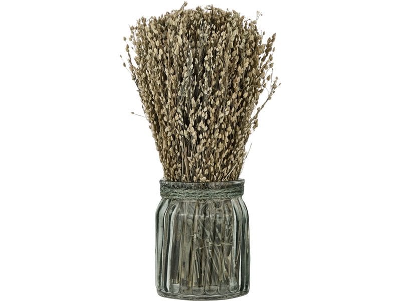 EGLO | Trockenblume CARAQUET mit Vase | Farbe: Natur