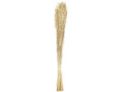 EGLO | Trockenblume GUIPOS | Farbe: Natur