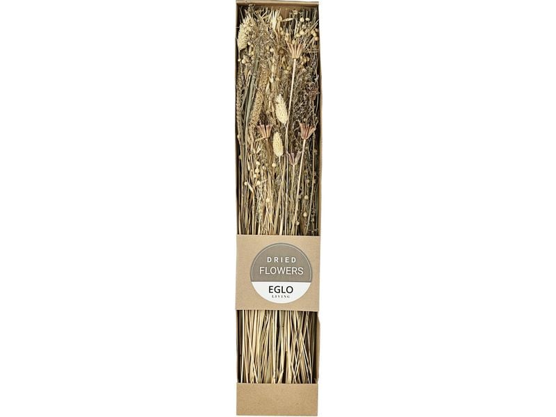 EGLO | Trockenblume GUIPOS | Farbe: Natur