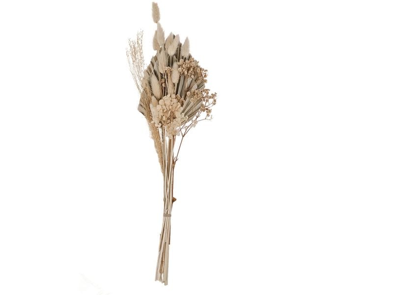 EGLO | Trockenblume CARAQUET | Farbe: Natur